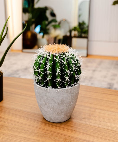Coco Artificial Cactus Potted Plant 11’’