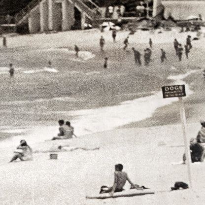 Coogee Beach C.1965