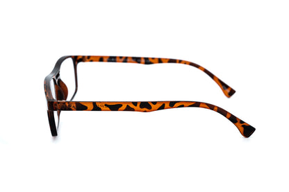 Channel Reading Glasses