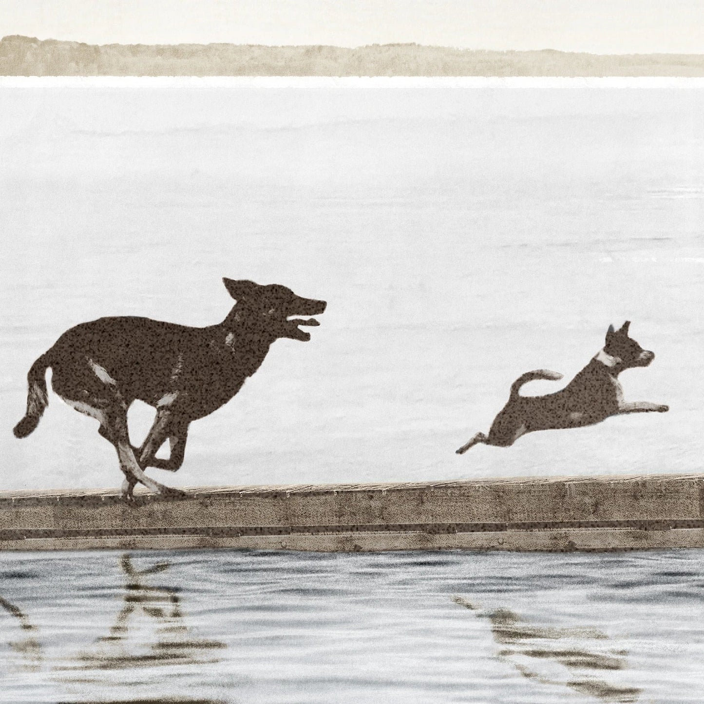 Dogs Day at the Cottage