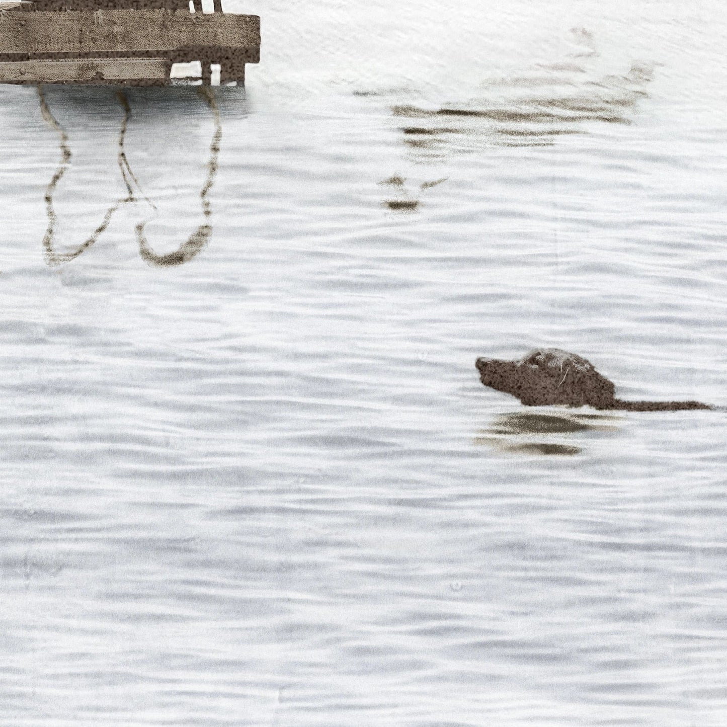 Dogs Day at the Cottage