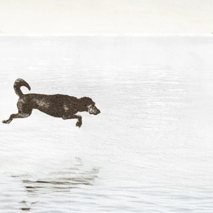 Dogs Day at the Cottage