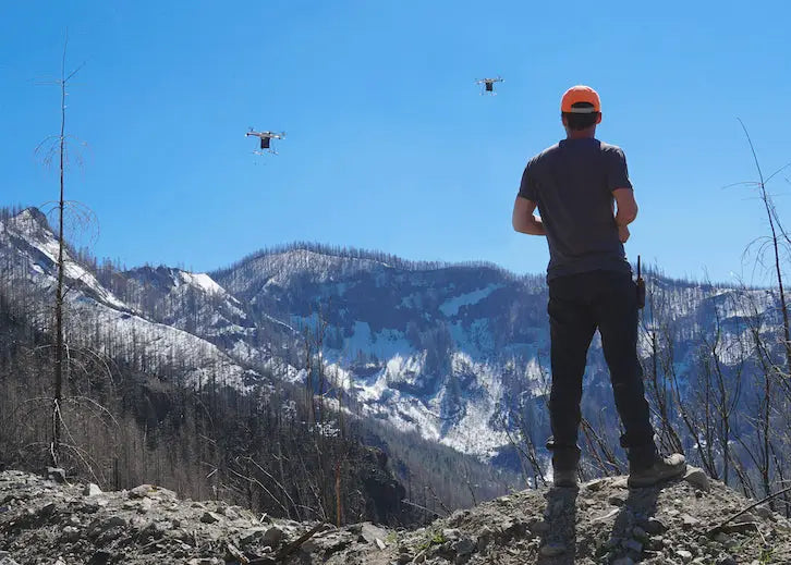 Des drones survolent une forêt