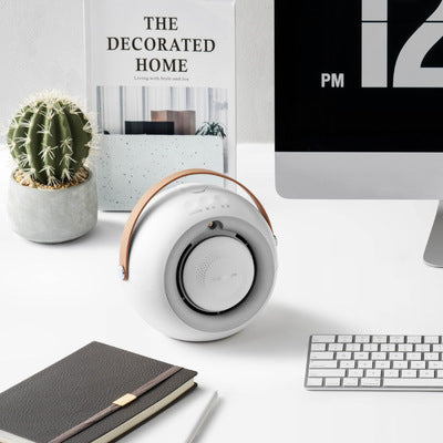 Mini Electric Desk Heater & USB Humidifier | 3-Speed 550W Heaters
