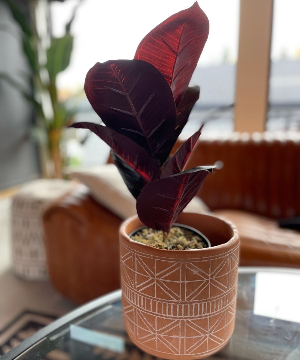 Mongui Artificial Rubber Potted Plant 1.2’