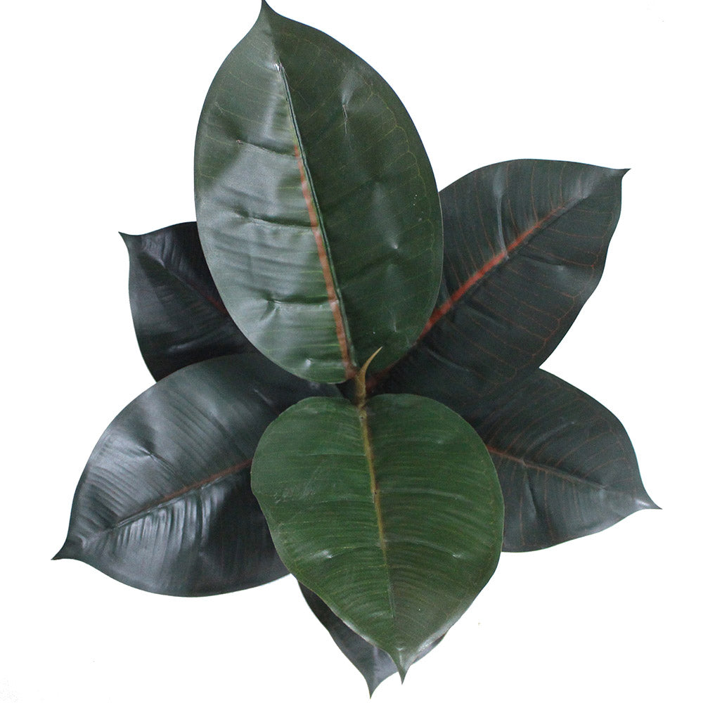 Mongui Artificial Rubber Potted Plant 1.2’