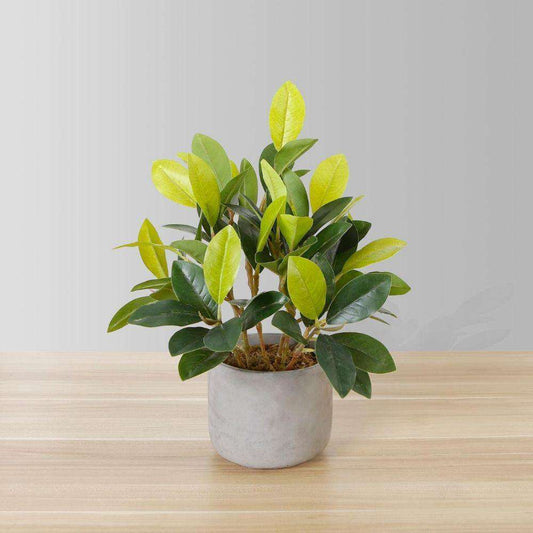 Moralilo Potted Faux Watercress Plant Artificial