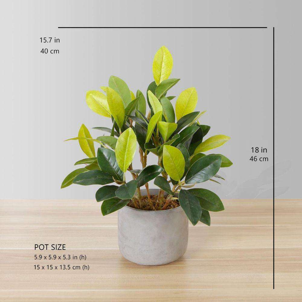 Moralilo Potted Faux Watercress Plant Artificial