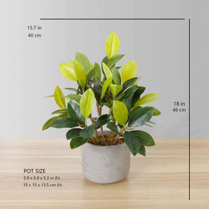 Moralilo Potted Faux Watercress Plant Artificial
