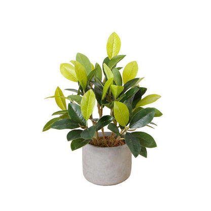 Moralilo Potted Faux Watercress Plant Artificial