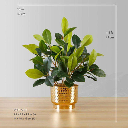Moreno Potted Faux Watercress Plant Artificial