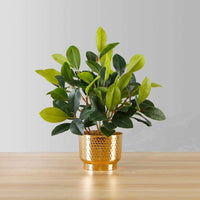 Moreno Potted Faux Watercress Plant Artificial
