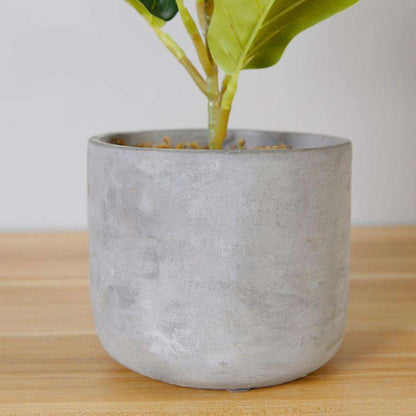 Panuco Potted Faux Fiddle Plant Artificial
