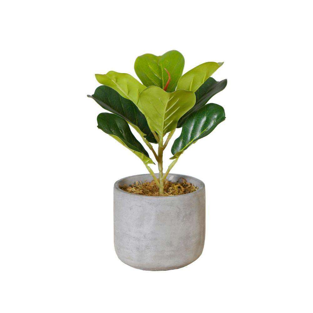 Panuco Potted Faux Fiddle Plant Artificial