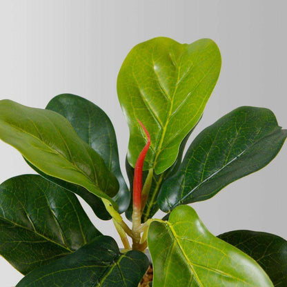 Panuco Potted Faux Fiddle Plant Artificial
