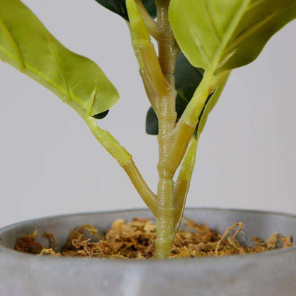 Panuco Potted Faux Fiddle Plant Artificial