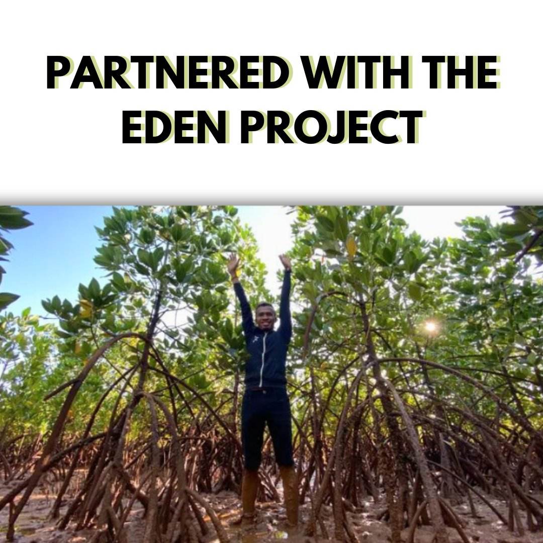 Plant a Mangrove Tree - Donate - The GoodApi™ sprout-additional-trees