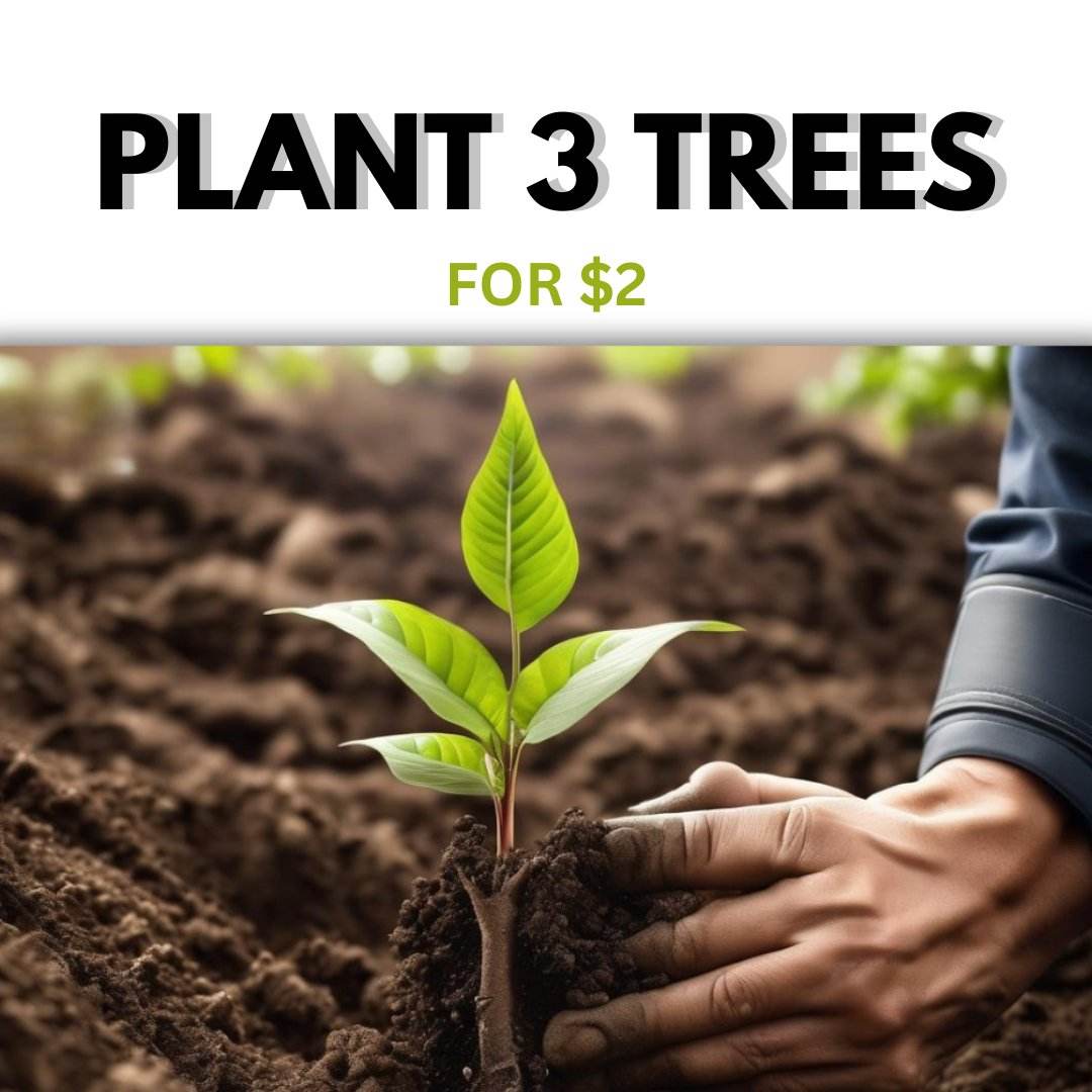 Plant a Mangrove Tree - Donate - The GoodApi™ sprout-additional-trees