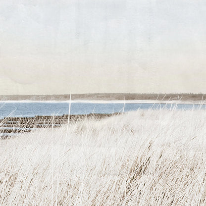 Seaside Cottage