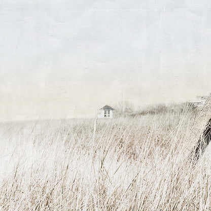 Seaside Cottage