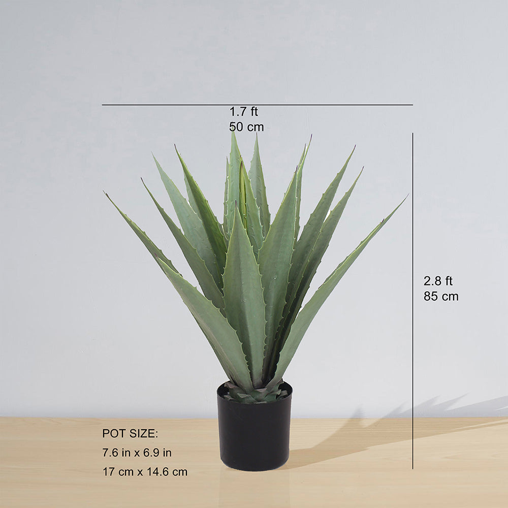 Tunja Artificial Century Potted Plant (Multiple Sizes) 2.8 ft