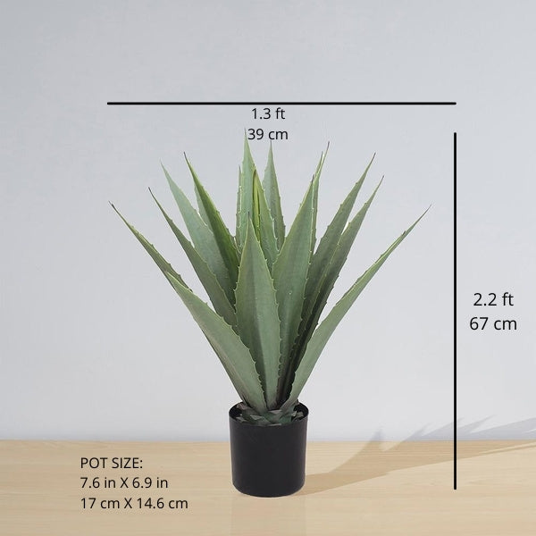 Tunja Artificial Century Potted Plant (Multiple Sizes) 2 ft