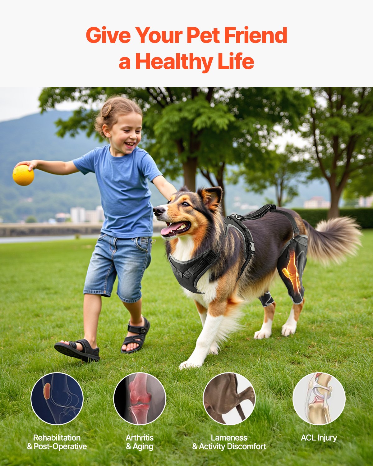 VEVOR Dog Knee Brace for Left & Right Leg Adjustable Dog Leg Brace Pain Relief