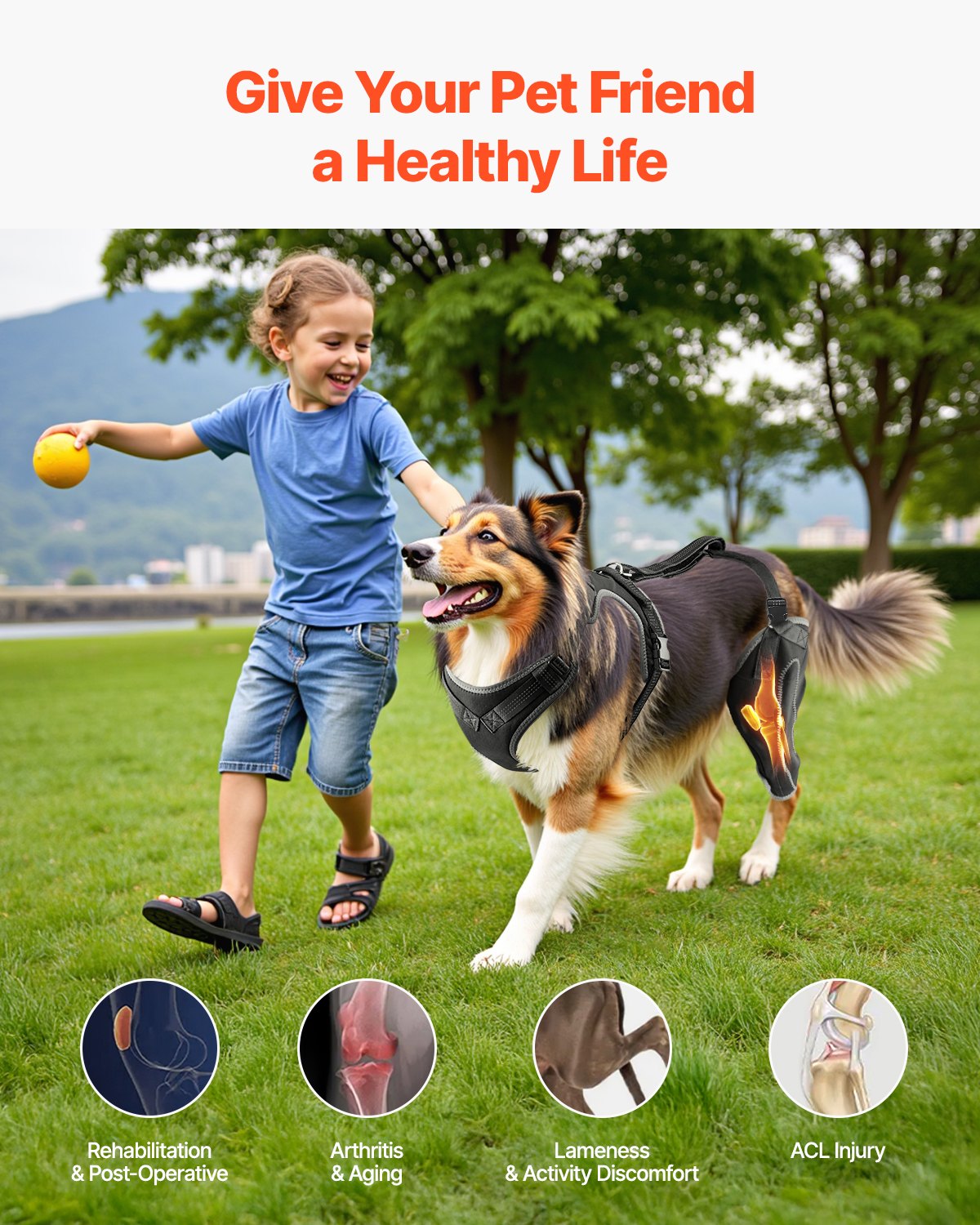 VEVOR Dog Knee Brace for Left Hind Leg Adjustable ACL Dog Leg Brace Pain Relief