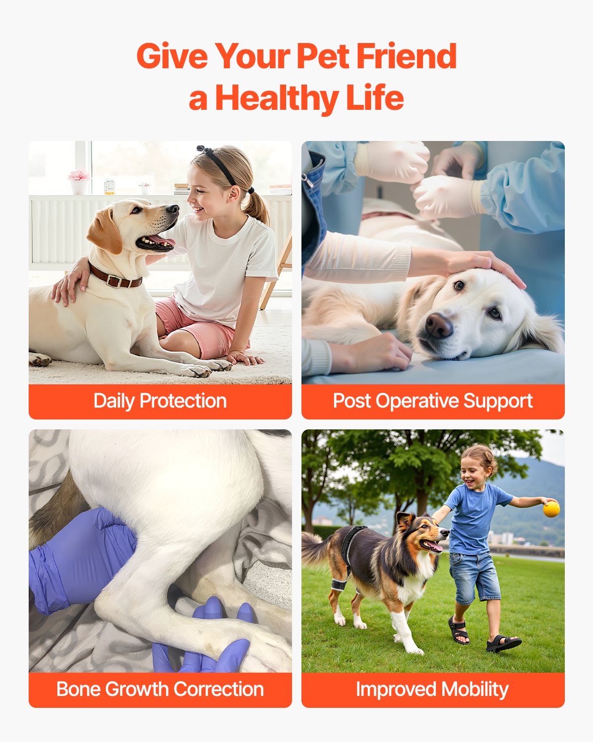 VEVOR Dog Hip Support Brace Pet Hip Dysplasia Brace Harness Joint Pain Relief