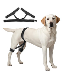 VEVOR Dog Hip Support Brace Pet Hip Dysplasia Brace Harness Joint Pain Relief