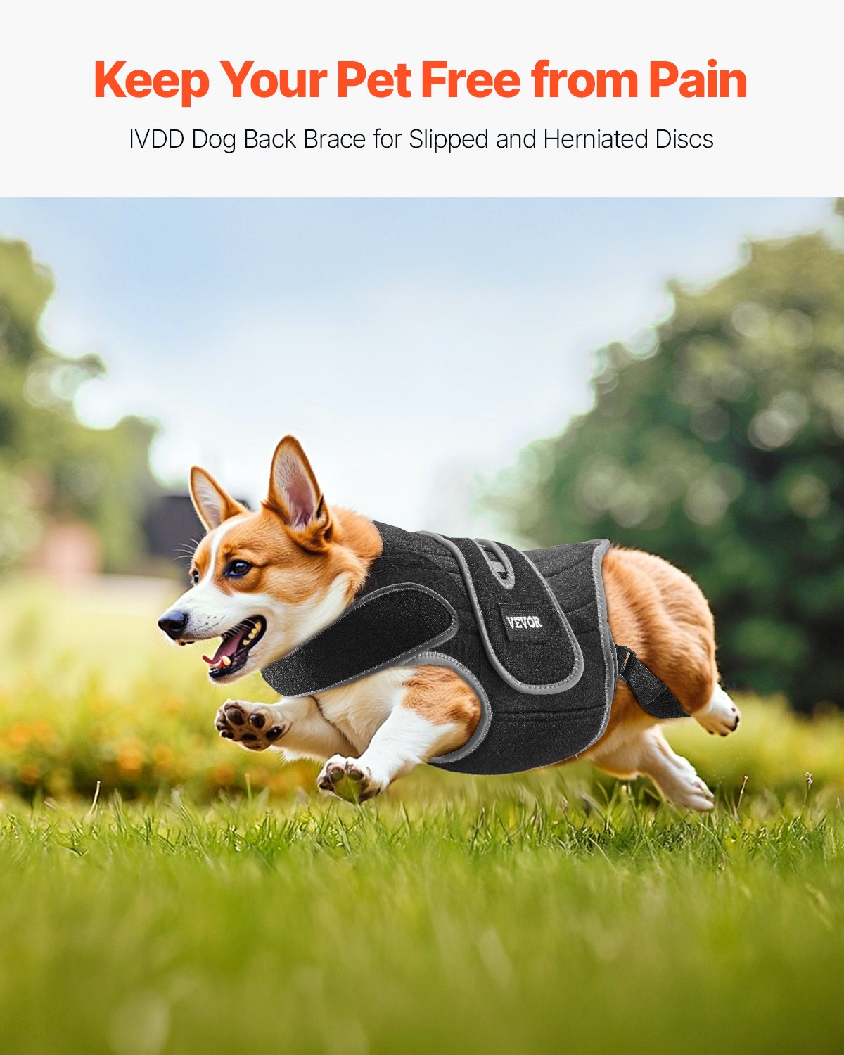 VEVOR Dog Back Brace Adjustable Dog Spine Support Harness for IVDD Pain Relief